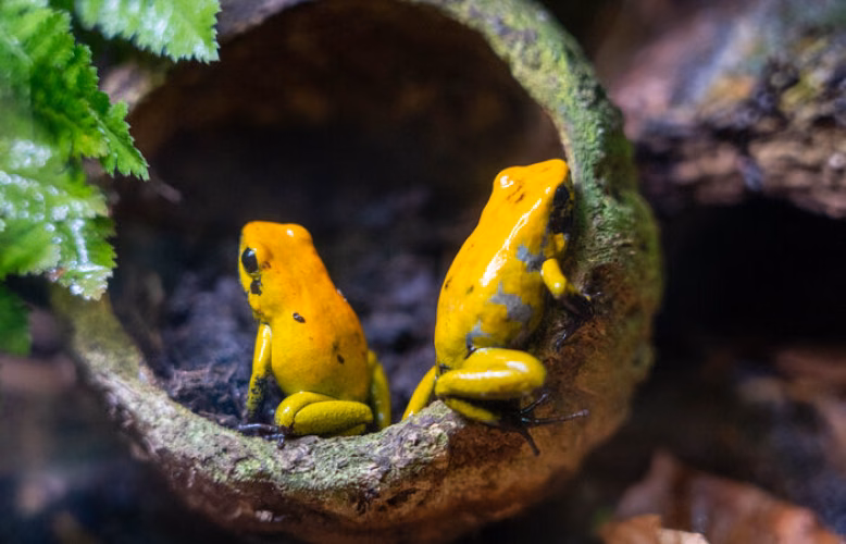 30 let vivária v zoologické zahradě v Chemnitzu