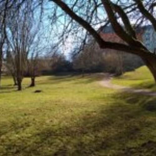 Umfrage der B&uuml;rgerplattform Chemnitz S&uuml;d zur Gestaltung des Parks Morgenleite: Welche Vorschl&auml;ge sollen Ihrer Meinung nach umgesetzt werden?