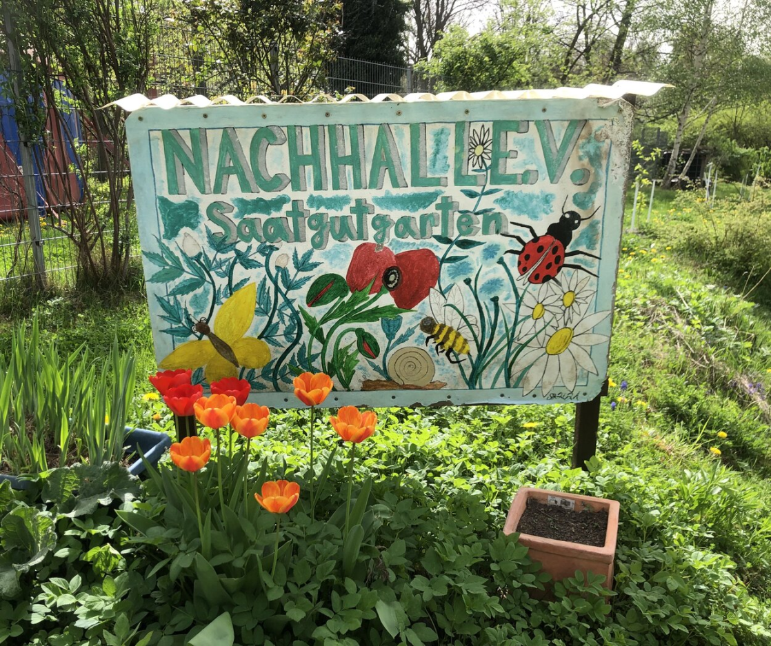 Sozial und ökologisch - der Saatgutgarten auf dem Sonnenberg