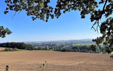 Blick über Grüna.