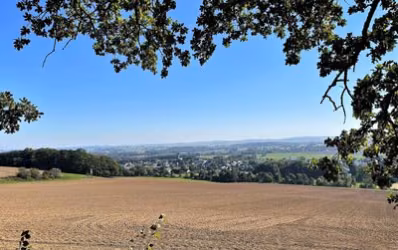 Blick über Grüna.
