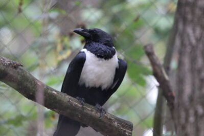 Tierpark Chemnitz