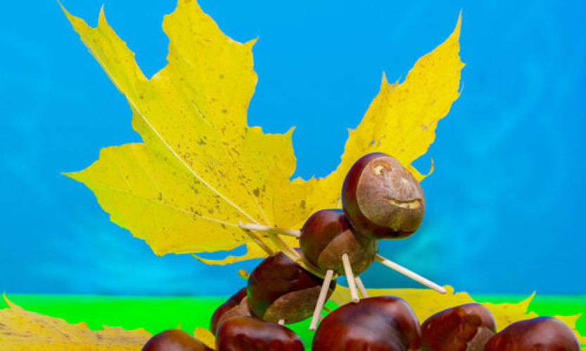 Podzimní tvoření s přírodními materiály