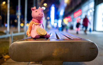 Das Spendensparschwein Rosalie