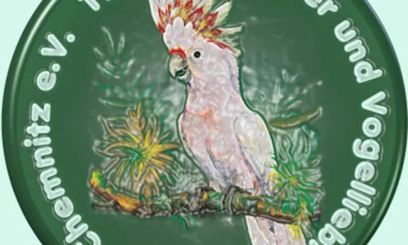 Bird's-eye view