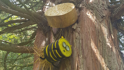 Insektenhotel an einem Baum