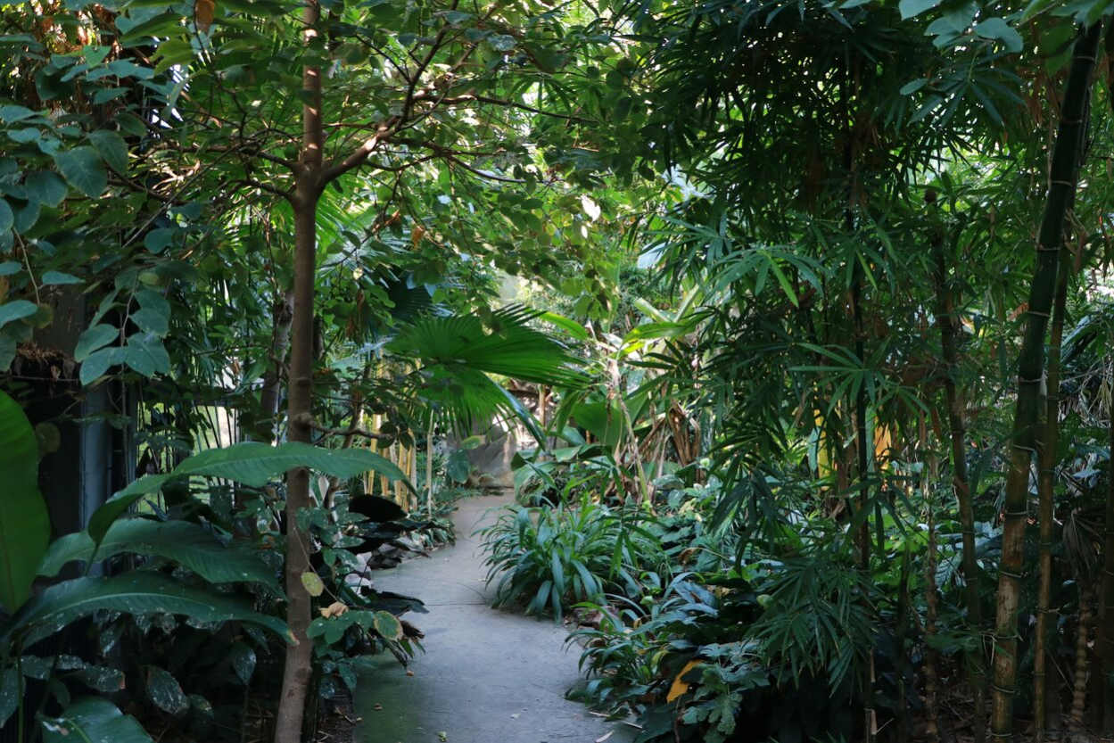 Tropenhaus im Tierpark Chemnitz