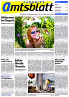 Issue 30/2010