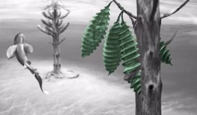 Das Bild zeigt eine Zeichnung, links schwimmt ein Ur-Hai nach oben, sodass man seinen Bauch sieht, er hat runde Flossen. Daneben im Hintergrund steht ein farnartiger Baum. Rechts im Vorgrund ist ein Abschnitt eines Baumstamms zusehen, an dessen Zweigen Hai-Eier h&auml;ngen. Diese urzeitlichen Eier sin gr&uuml;n gef&auml;rbt und haben eine spindelartige, l&auml;ngliche Form.