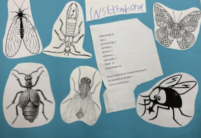 Plakat zu verschiedenen Insekten des Erich Kästner Förderzentrums Aue