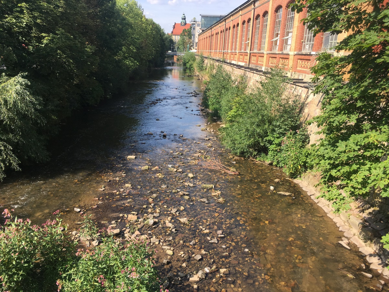 Blick auf die Chemnitz an der Bierbrücke.