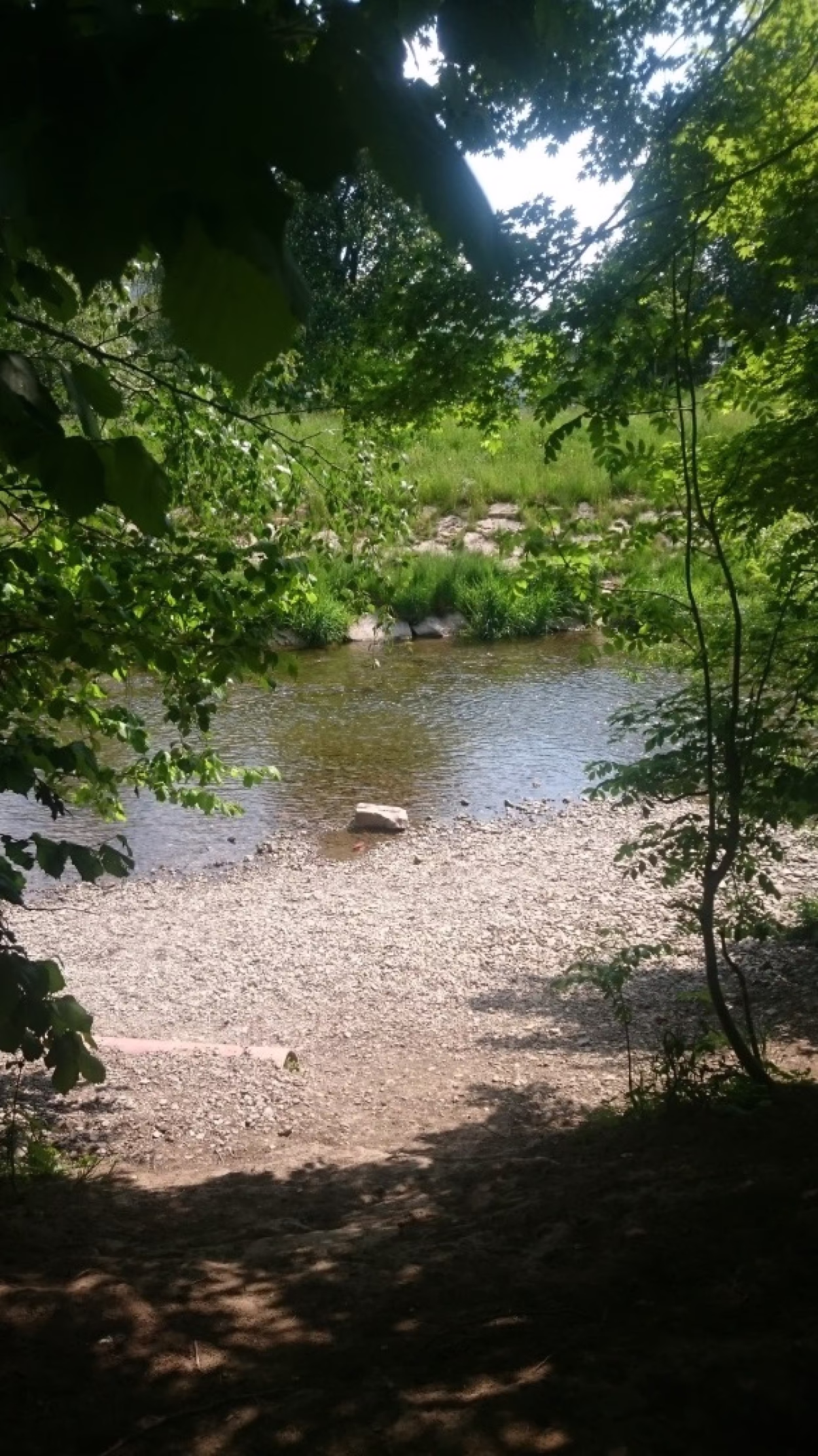 idyllisches Chemnitzufer in Altchemnitz