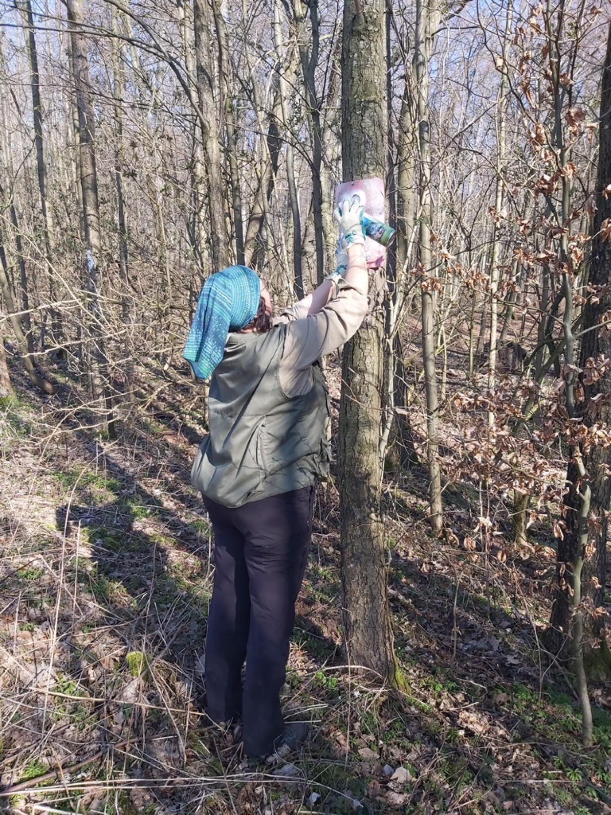 Wei&szlig;en Spechte