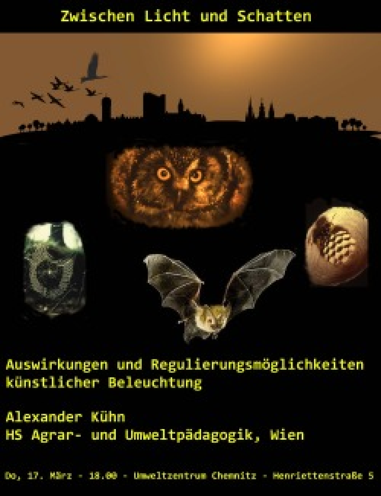 Pd0136 Umweltamt Flyer Licht Und Schatten Groß