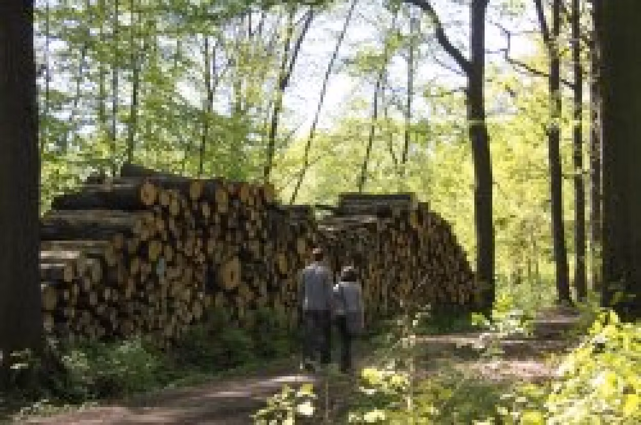 Pd0647 Brennholzverkauf