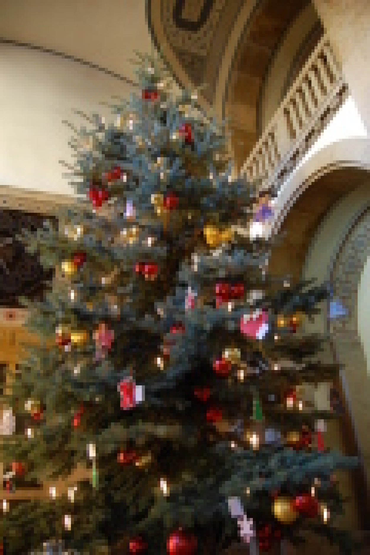 Pd0785-weihnachtsbaum