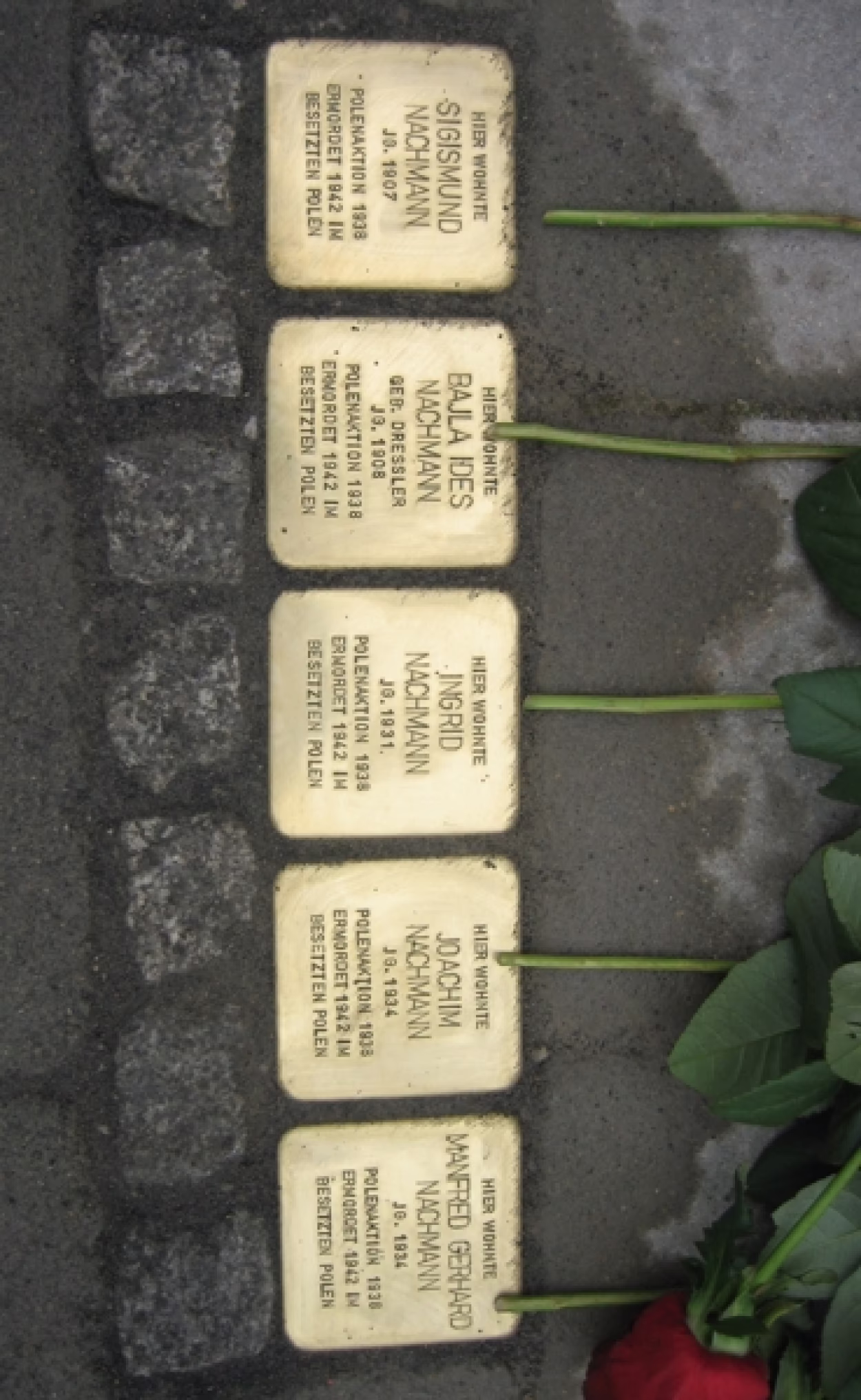 Stolpersteine Familie Nachmann