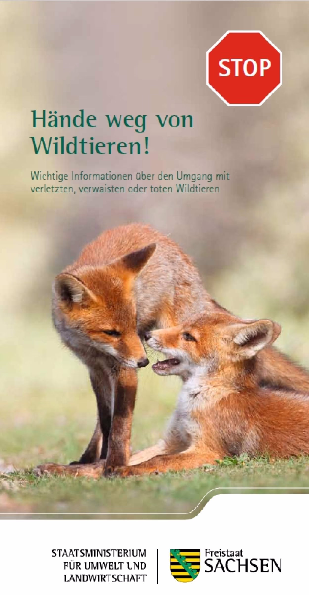 Faltblatt "Hände weg von Wildtieren"