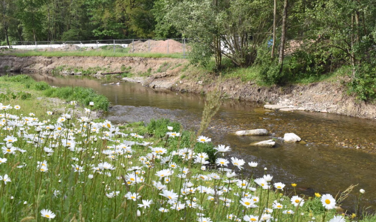Das Flussbad Altchemnitz im Bau.